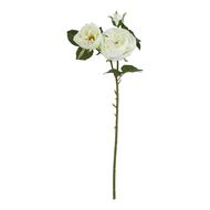 The Natural Garden Collection White Charity Rose - Thumb 1