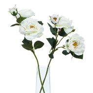 The Natural Garden Collection White Tea Rose - Thumb 3