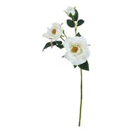 The Natural Garden Collection White Tea Rose - Thumb 1