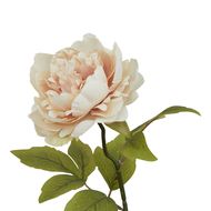 The Natural Garden Collection Blush Peony - Thumb 2