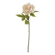 The Natural Garden Collection Blush Peony - Thumb 1