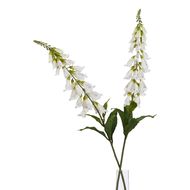 The Natural Garden Collection White Foxglove - Thumb 3