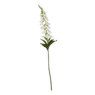 The Natural Garden Collection White Foxglove - Thumb 1