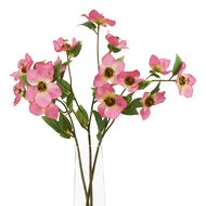 The Natural Garden Collection Pink Varigated Hellibore - Thumb 3