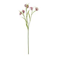 The Natural Garden Collection Purple Fritillaria Stem - Thumb 1