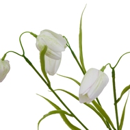 The Natural Garden Collection White Fritillaria Stem - Thumb 4