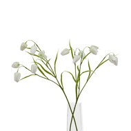 The Natural Garden Collection White Fritillaria Stem - Thumb 5