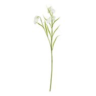 The Natural Garden Collection White Fritillaria Stem - Thumb 1