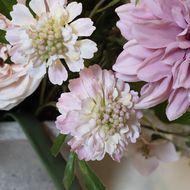 The Natural Garden Collection Pale Pink Scabious Stem - Thumb 4
