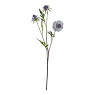 Pale Blue Scabious Stem - Thumb 1