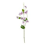 The Natural Garden Collection Purple Sweetpea Stem - Thumb 1