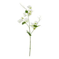 The Natural Garden Collection White Sweetpea Stem - Thumb 1