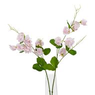 The Natural Garden Collection Pale Pink Sweetpea Stem - Thumb 3