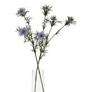 The Natural Garden Collection Purple Nigella Love In A Mist - Thumb 3