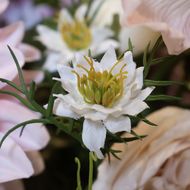 The Natural Garden Collection White Nigella Love In A Mist - Thumb 4