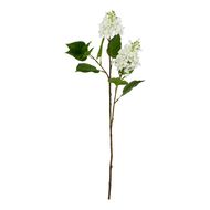 The Natural Garden Collection White Lilac Stem - Thumb 1