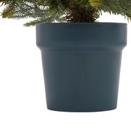 Potted Natural Pine Tree - Thumb 2