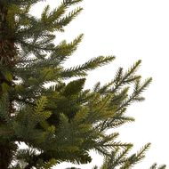 Potted Natural Pine Tree - Thumb 3