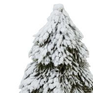 Small Snowy Cedar Tree On Wood Block - Thumb 2