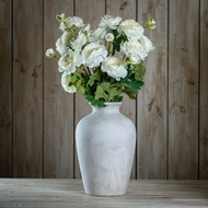 The Natural Garden Collection Apricot Ranunculus - Thumb 2