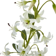Turks Cap Green Lily Spray - Thumb 2