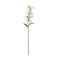 Turks Cap Green Lily Spray - Thumb 1