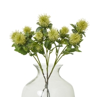 Green Safflower Spray - Thumb 3