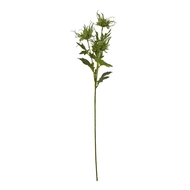 Green Sea Holly Spray - Thumb 1