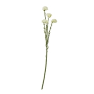 Cream Statice Spray - Thumb 1