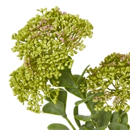 Green Sedum Spray - Thumb 2