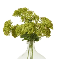 Green Sedum Spray - Thumb 3