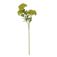 Green Sedum Spray - Thumb 1