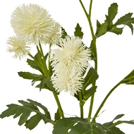 Cream Globe Thistle Spray - Thumb 2