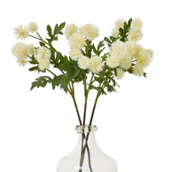 Cream Globe Thistle Spray - Thumb 3
