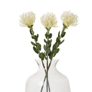 Cream Pincushion Protea Spray - Thumb 3