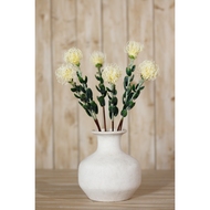 Cream Pincushion Protea Spray - Thumb 4