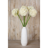 Cream Giant Allium Stem - Thumb 4