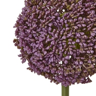 Purple Allium Stem - Thumb 2
