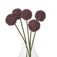 Purple Allium Stem - Thumb 3
