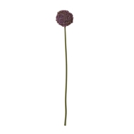 Purple Allium Stem - Thumb 1