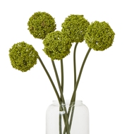 Green Allium Stem - Thumb 3