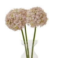 Lilac Giant Allium Stem - Thumb 3
