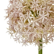 Lilac Medium Allium Stem - Thumb 2