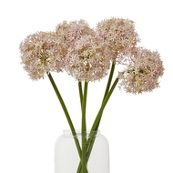 Lilac Medium Allium Stem - Thumb 3
