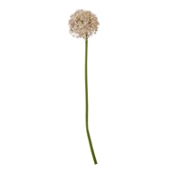 Lilac Medium Allium Stem - Thumb 1