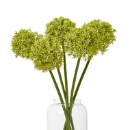 Green Medium Allium Stem - Thumb 3
