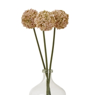 Pink Allium Stem - Thumb 3