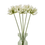 Cream Agapanthus Spray - Thumb 3