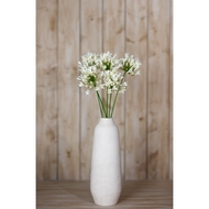 Cream Agapanthus Spray - Thumb 4