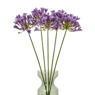 Lilac Agapanthus Spray - Thumb 3